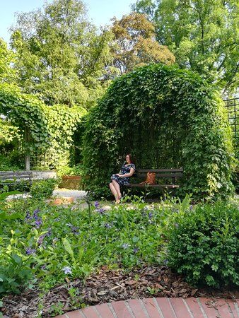 Jardín Botánico de la Universidad de Varsovia